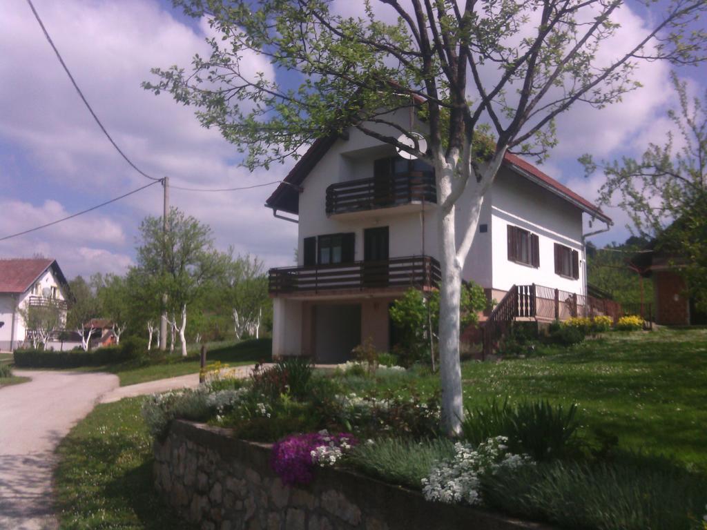Apartment Ankica Selište Drežničko Zimmer foto